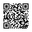 C40215-4入橫式加厚燙金紅包袋_QRCODE